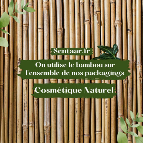 Le bambou une alternative écologique